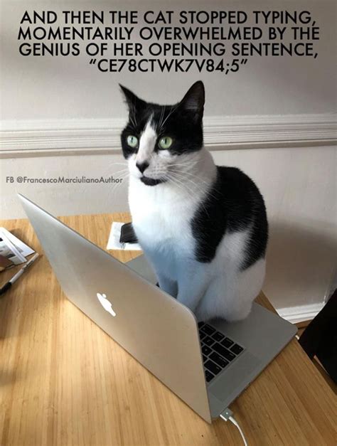 Check spelling or type a new query. Keep up the good work | Cats, Cute cats, Cat memes