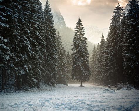 Austria Tyrol Alps Mountains Forest Snow Winter Wallpaper