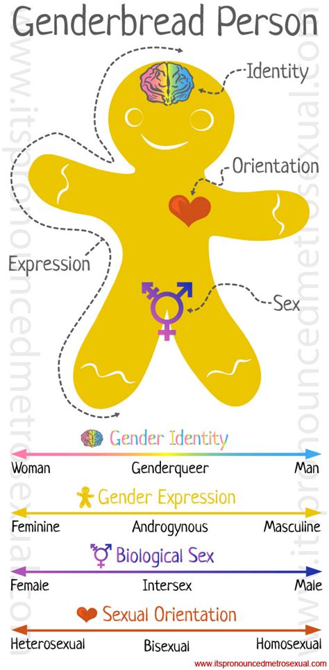 Breaking Through The Binary Gender Explained Using Continuums Its Pronounced Metrosexual