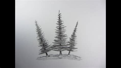 How To Draw Pine Tree Very Simple Youtube
