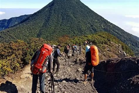 Jalur Pendakian Gunung Gede Pangrango Dibuka Kembali Britakan