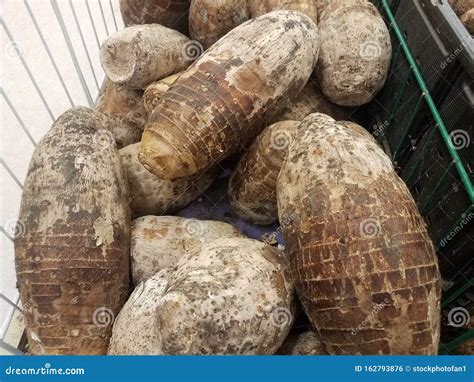 Pile Or Mound Of Large Brown Taro Root Vegetables In Market Stock Photo