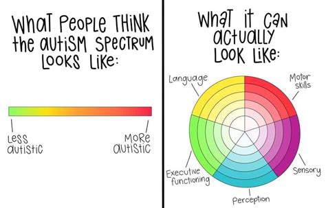 How Much Of A Spectrum Is Autism Rautismtranslated