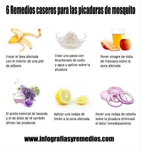 Los Mejores Remedios Caseros Para Picaduras De Insectos Viviendosanos