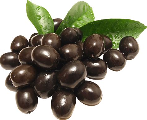 All our images are transparent and free for personal use. Olive PNG