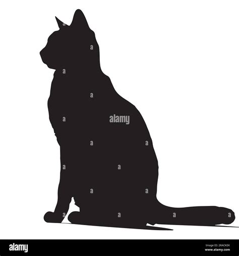 Silhouette Cat Vector Illustration Stock Vector Image And Art Alamy