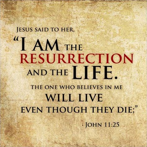 John 1125 Niv Jesus Said To Her I Am The Resurrection And The