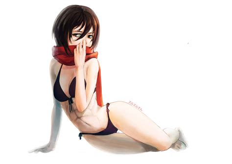 Hd Wallpaper Mikasa Black Bikini Abs 1346
