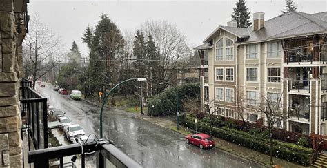 Check Out Metro Vancouvers First Snowfall Of Winter Videos News