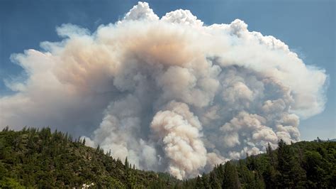 What Are The Top Causes Of Wildfires
