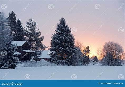 Sunrise In Cold Winter Morning In Countryside Stock Image Image Of