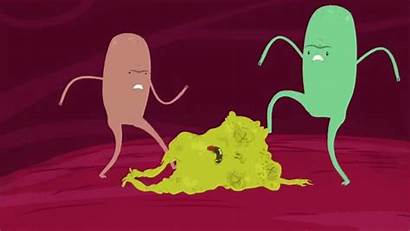 Gut Drugs Bacteria Could Giphy Bugs Health
