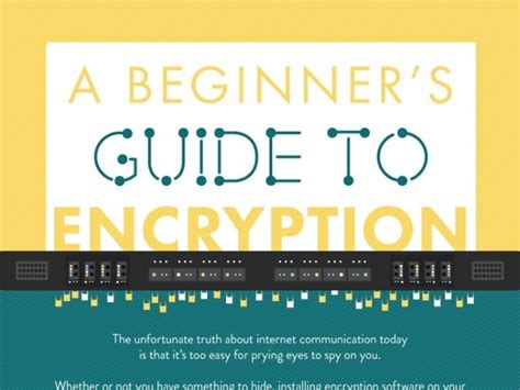 A Beginners Guide To Encryption Infographic