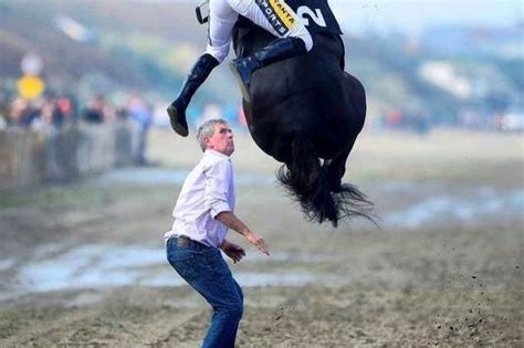 5 horse racing pics that look photoshopped but aren't