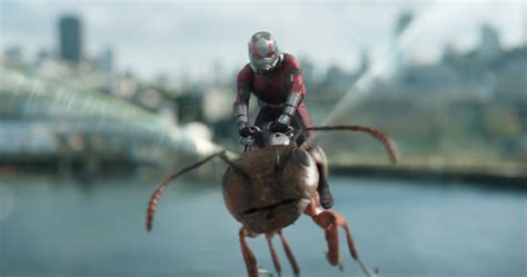 Ant Man And The Wasp Film Review Frothy Summer Fun Scifinow Science Fiction Fantasy And Horror
