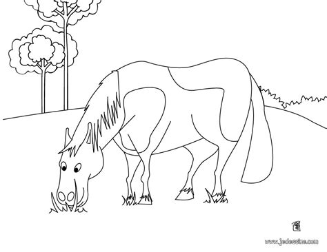 Coloriage De Animal Qui Mange  30000 ++ collections de pages à