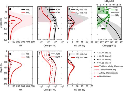 Stratified Water Column Model Solutions And Observations From The