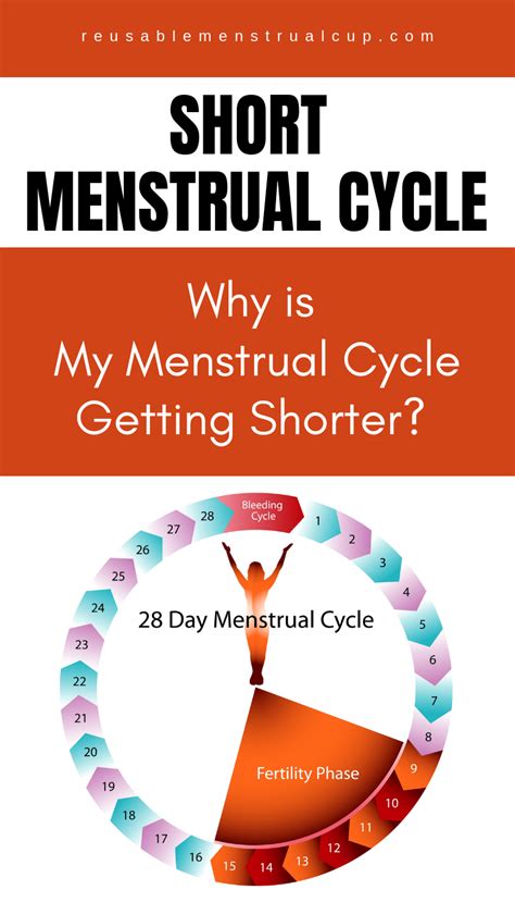 Why Is My Menstrual Cycle Getting Shorter Short Menstrual Cycle