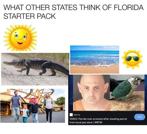Florida Starter Pack Rstarterpacks Starter Packs Know Your Meme