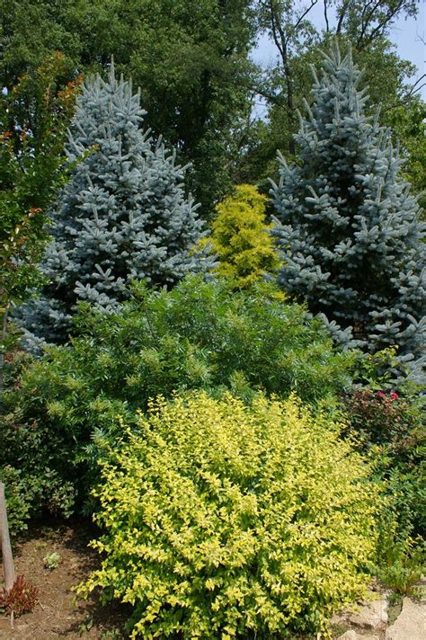 Последние твиты от white oak landscape (@whiteoakland). Bill Duncan-White Oak Landscaping (15) | Landscape, White ...