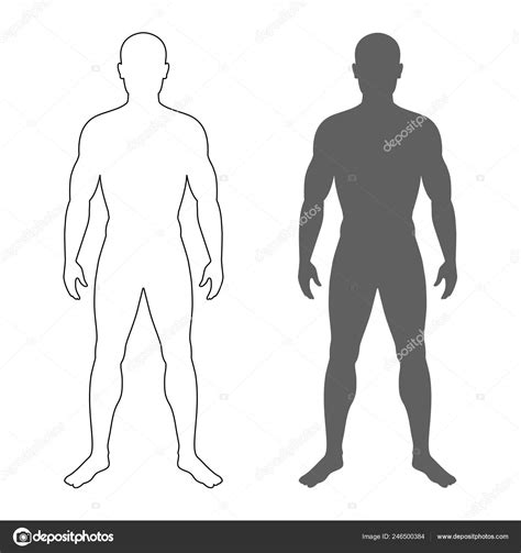 Silueta Del Cuerpo Humano Free Vector N Clip Art