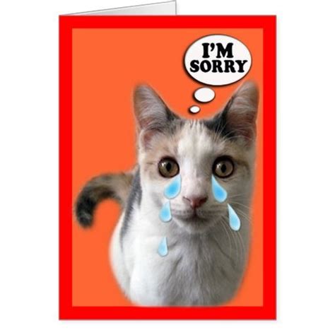 Cat Cards Im Sorry Card Zazzle Cat Cards Im Sorry Cards Sorry Cards