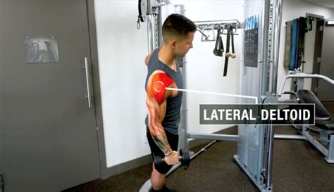 Lateral Raises Muscles Worked