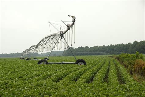 Crop Production Systems | Agriculture and Natural Resources