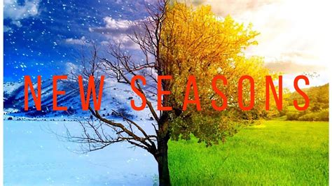 New Seasons Youtube
