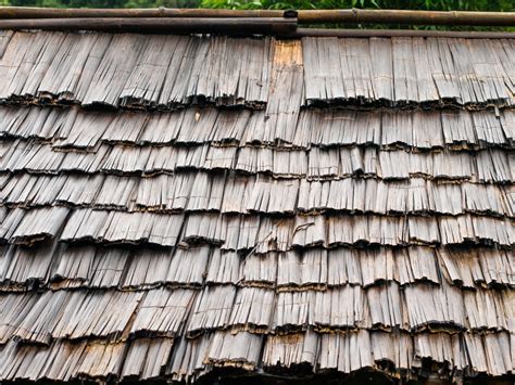 Bamboo Roof Snoreis Flickr