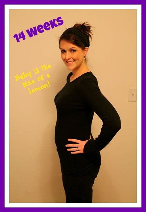 14 Weeks Pregnant Baby Bump Sweet Tooth Sweet Life