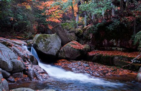 Waterfall And Red Autumn Leaves Stock Image Image Of