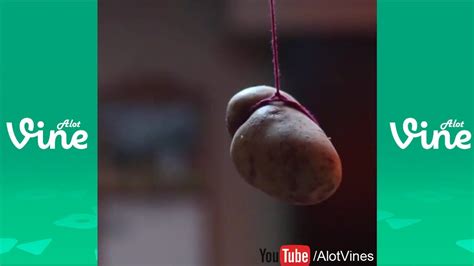 Browse and share the top a potato flew around my room gifs from 2020 on gfycat. A Potato Flew Around My Room Before You Came Vine ...