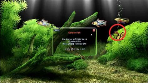 Descargar protector de pantalla de peces. (Dreamaquarium ...
