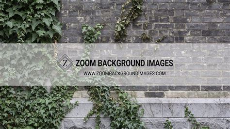 Regular people have been doing the same across social media, which has resulted in some pretty hilarious and fun zoom background ideas. Pin on Zoom Virtual Backgrounds