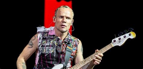 Cant Stop Flea Responds To Red Hot Chili Peppers Retirement Rumours