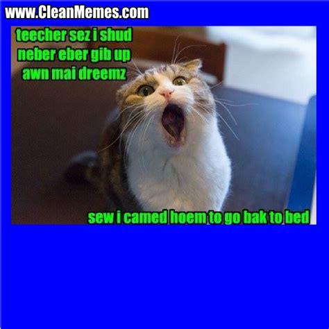 Funny Memes 2015 Clean Image Memes At