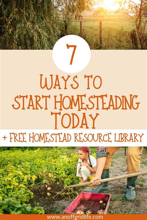 7 Ways To Start Homesteading Today Homesteading Survival Off Grid