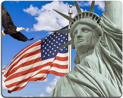 Bglkcs American Flag Flying Bald Eagle Statue Of Liberty