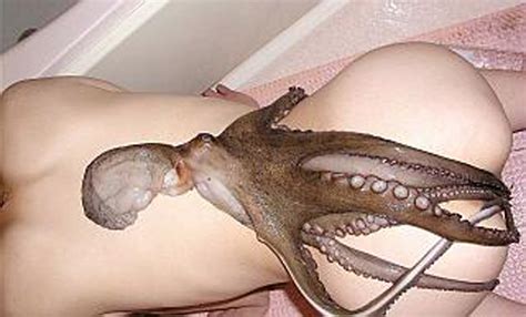 Live Octopus In Pussy Telegraph