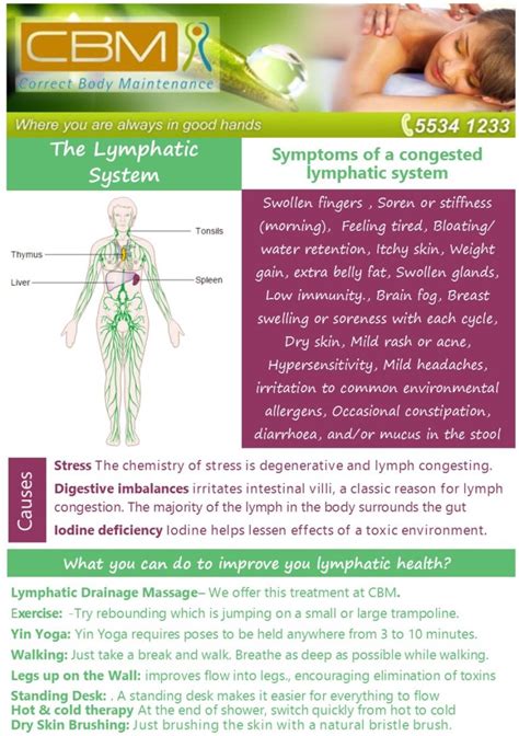 Symptoms Of A Congested Lymphatic System Correct Body Maintenance