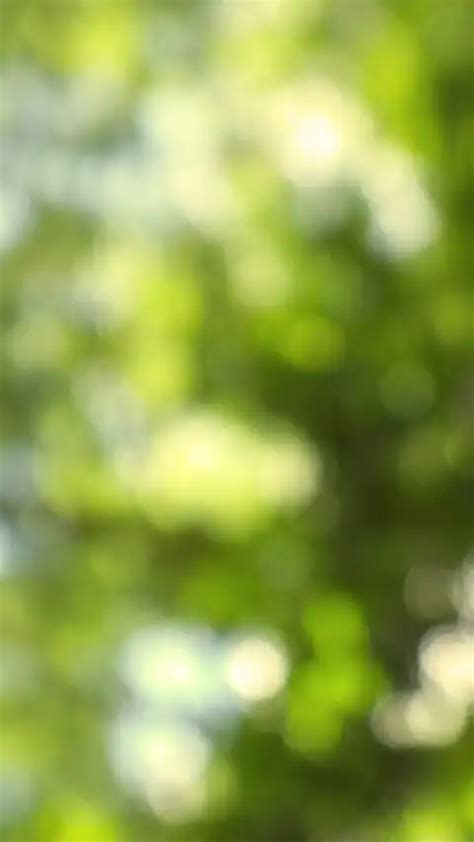Green Blur Snapseed Editing Background Full Hd Download Cbeditz