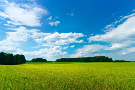 Green Meadows Blue Sky Free Stock Photo Freeimages