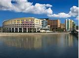 Tampa General Hospital Ob Gyn Doctors Pictures