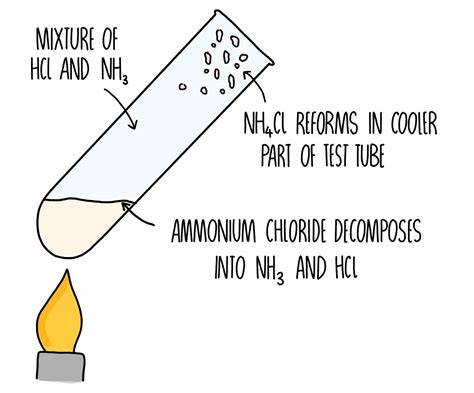 Reversible Reactions And Equilibria Gcse — The Science Sauce