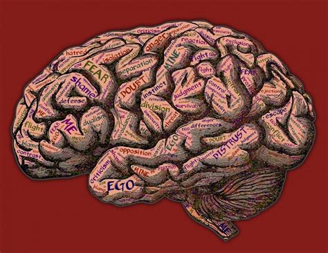 Cómo crea el cerebro una percepción continua de la realidad