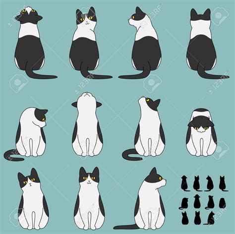 Anime Cat Poses Reference Tips For Drawing Your Feline Characters