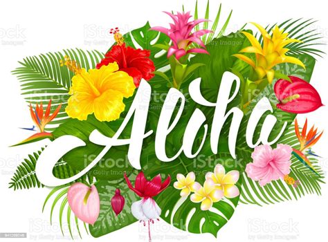 Aloha Hawaii Schriftzug Und Tropischen Pflanzen Stock Vektor Art Und