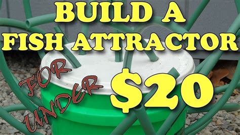 How To Build A Fish Attractor For Under 20 Youtube