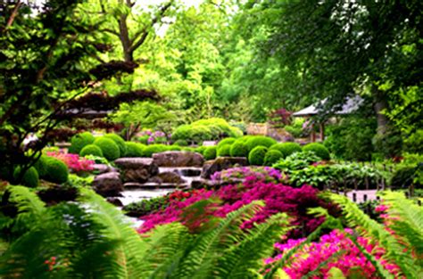 Gezeigt wird aber auch, wie forscherinnen und forscher den geheimnissen dieser lange versunkenen welt auf die spur kommen. Botanischer Garten Augsburg | Bayern-online.de